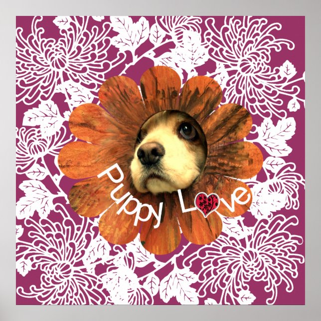 Póster Amor de Cachorro (Frente)