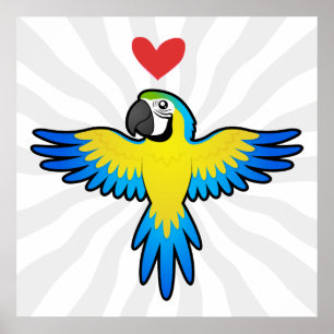 Póster Amor de Guacamayo / Loro