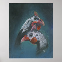 Amor de Guinea Joven