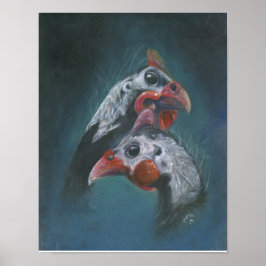 Póster Amor de Guinea Joven