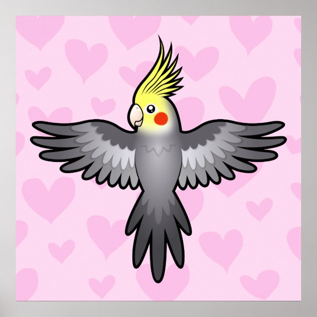 Póster Amor de la Cockatiel (Frente)