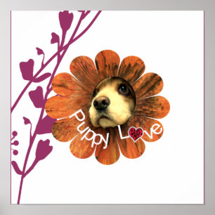 Póster Amor de las putas