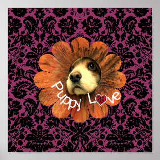 Póster Amor de las putas