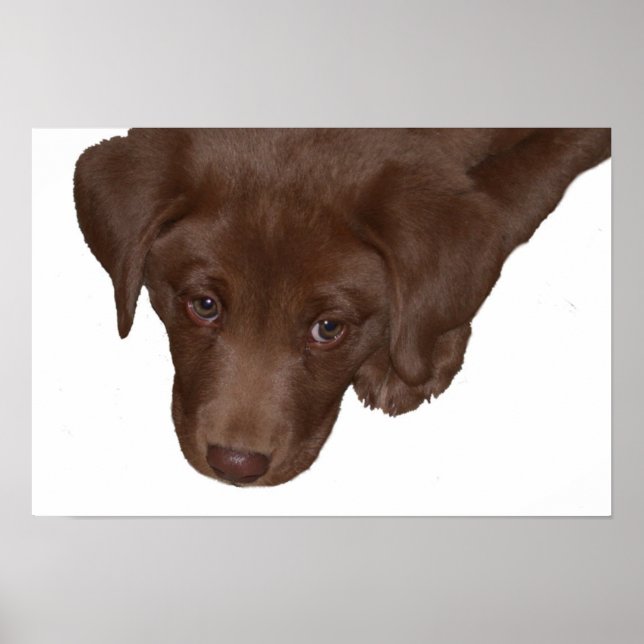 Póster Amor de las putas (Frente)