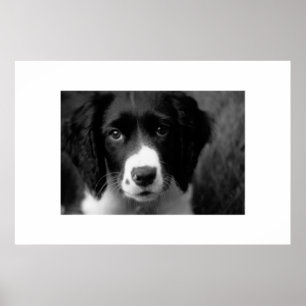 Póster Amor de las putas