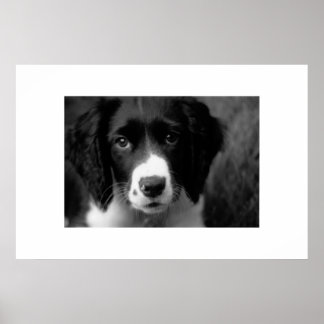 Póster Amor de las putas