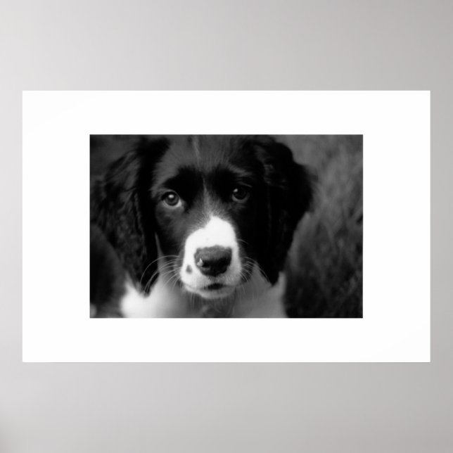 Póster Amor de las putas (Frente)