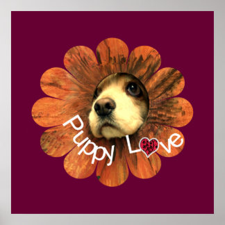Póster Amor de las putas