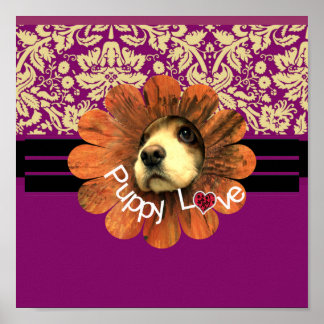 Póster Amor de las putas