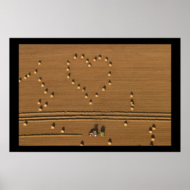 Póster Amor de verano (Frente)