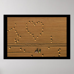 Póster Amor del verano