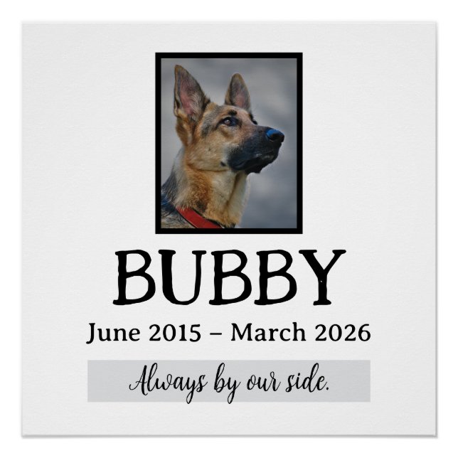 Póster Amor Funeral Memorial Pérdida de Mascotas en Nuest (Anverso)