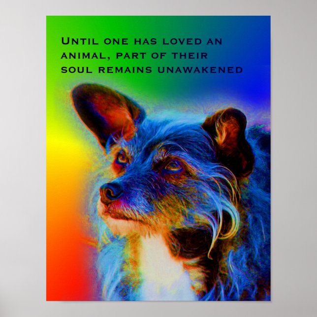 Póster Amor Por Los Animales Cita Inspirador (Frente)