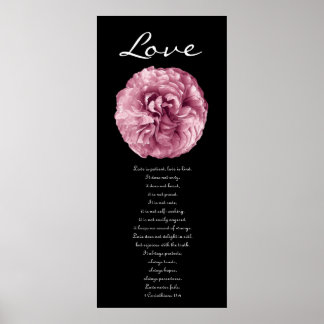 Póster Amor - Rosa rosa