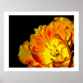 Póster Amor sin fin de Linda Becker