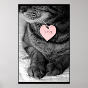 Póster Amor verdadero