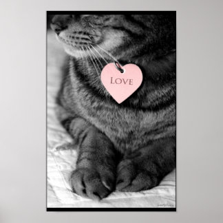 Póster Amor verdadero