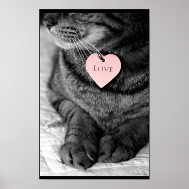 Póster Amor verdadero (Frente)