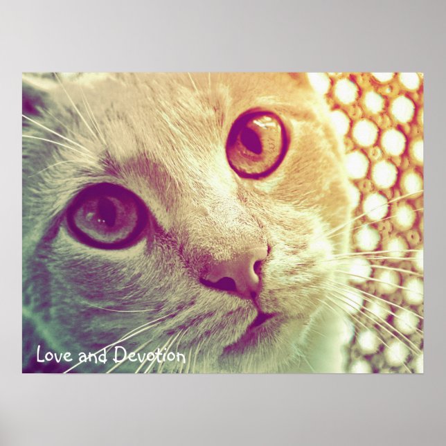 Póster Amor y Devoción (Frente)