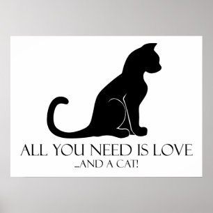 Póster Amor Y Gato