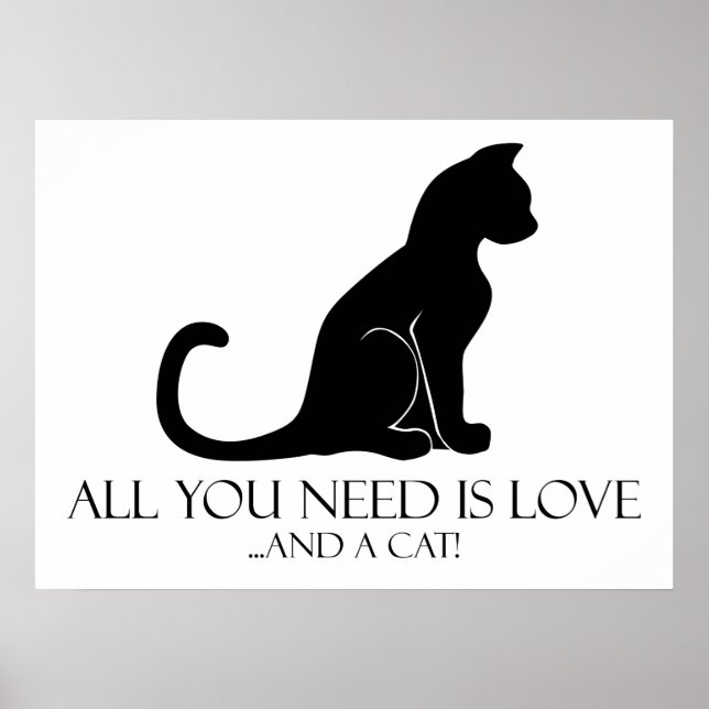 Póster Amor Y Gato (Frente)