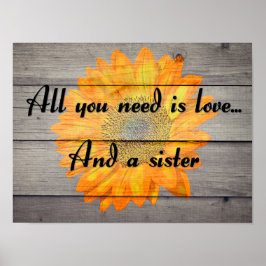 Póster Amor y hermana
