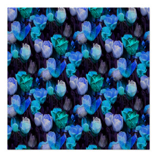 Póster Amor y luz...