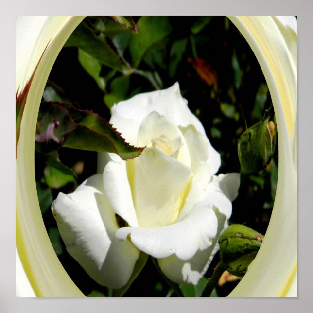 Póster Amor y luz..... (Frente)