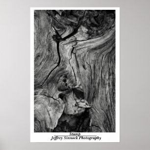 Póster Amortización