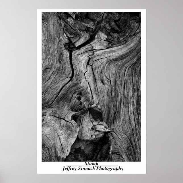 Póster Amortización (Frente)