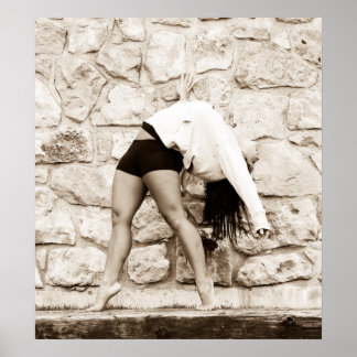 Póster Amortización