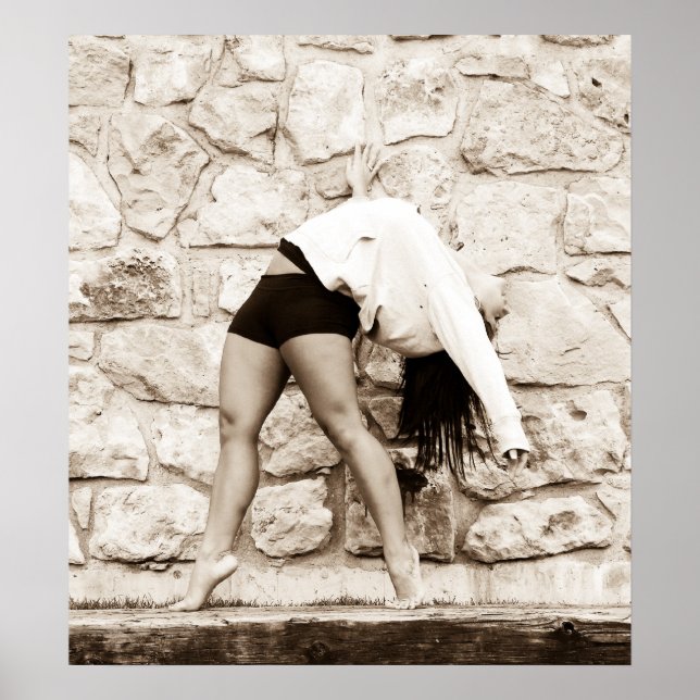 Póster Amortización (Frente)