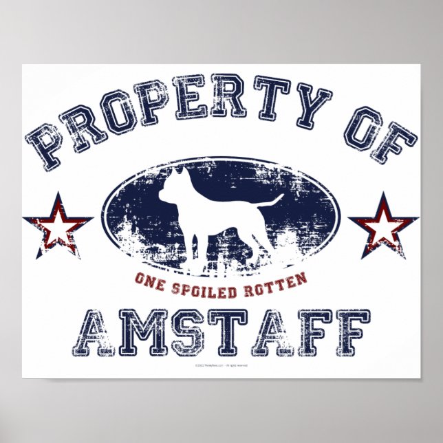 Póster Amstaff (Frente)