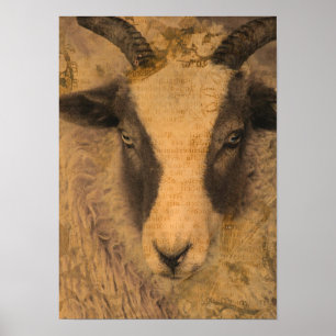 Póster Amy_Amy