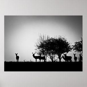 Póster An image of some deer in the morning mist