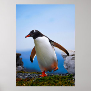 Póster Añadir sus propios regalos de Personalizados de pl