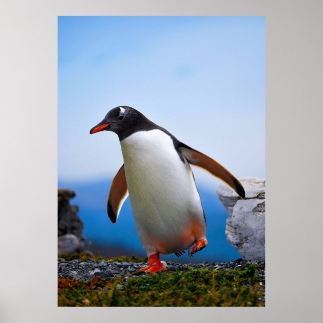 Póster Añadir sus propios regalos de Personalizados de pl (Frente)