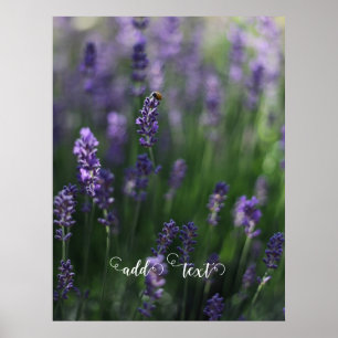 Póster añadir texto lavanda ladybug púrpura