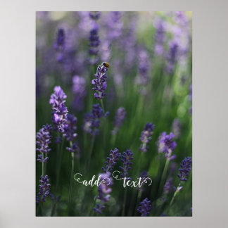 Póster añadir texto lavanda ladybug púrpura