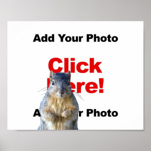 Póster Añadir un Poster fotográfico Personalizado de ardi