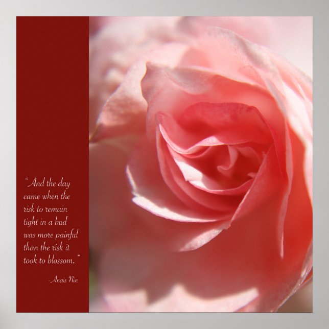 Póster Anais Nin cita Poster de rosa (Frente)