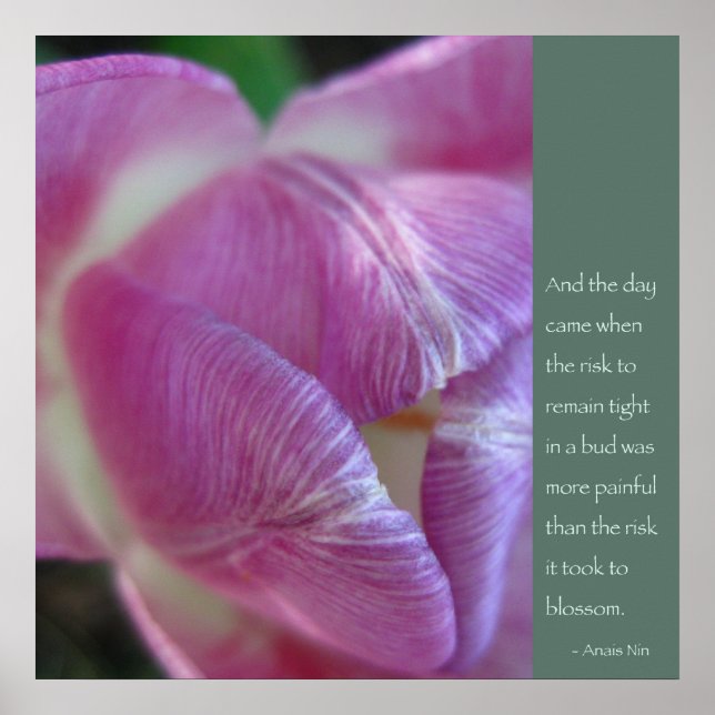 Póster Anais Nin Poster de citas (Frente)