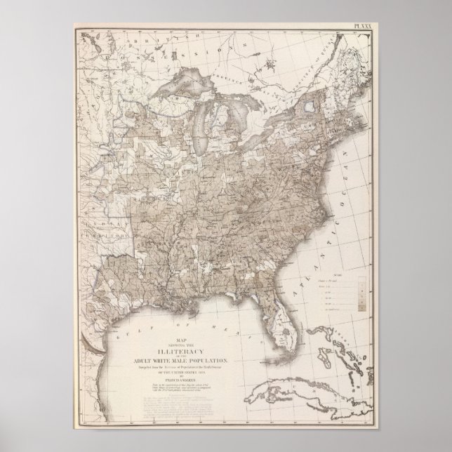 Póster Analfabetismo masculino blanco (Frente)
