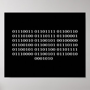 Póster Analista de programas informáticos