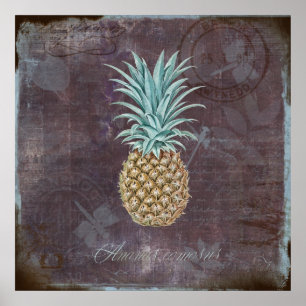 Póster Ananas comosus