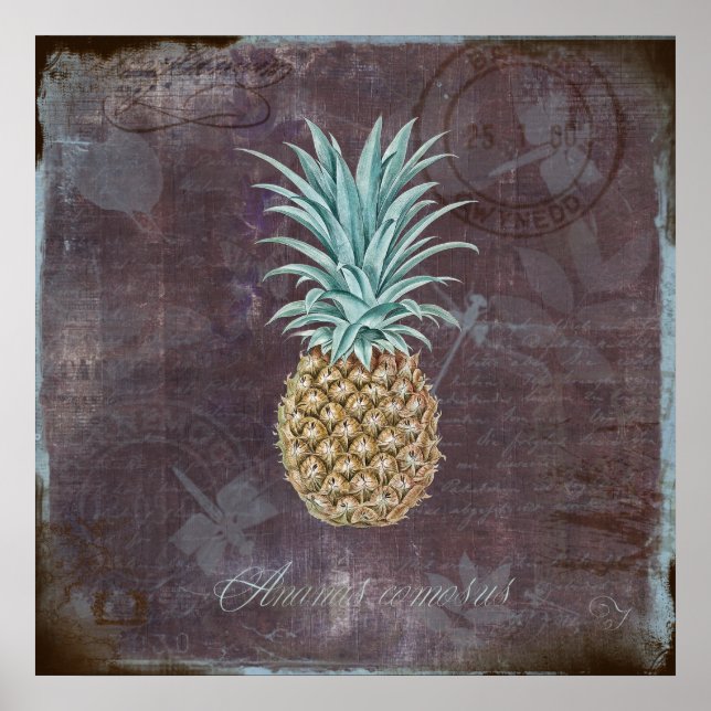 Póster Ananas comosus (Frente)