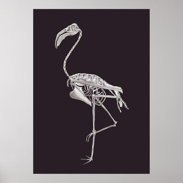 Póster Anatomía animal Flamingo Skeleton Bird Halloween (Frente)