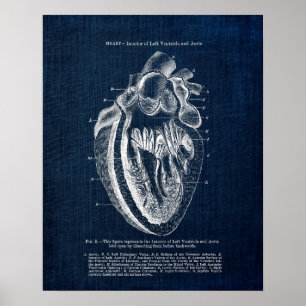 Póster Anatomía cardiaca Art n.º 3 Vista interior