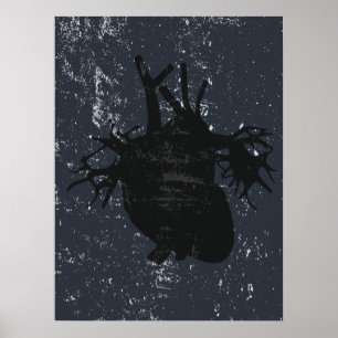 Póster Anatomía cardíaca poster de la pared de la calle