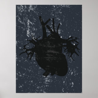 Póster Anatomía cardíaca poster de la pared de la calle